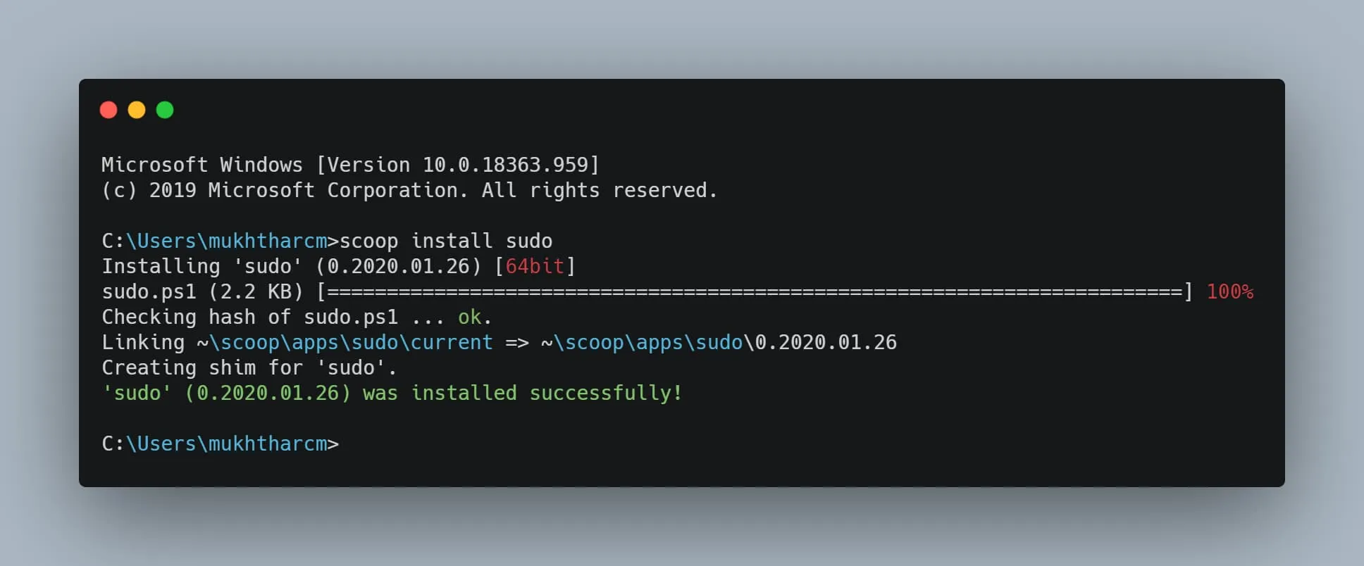 Installing sudo