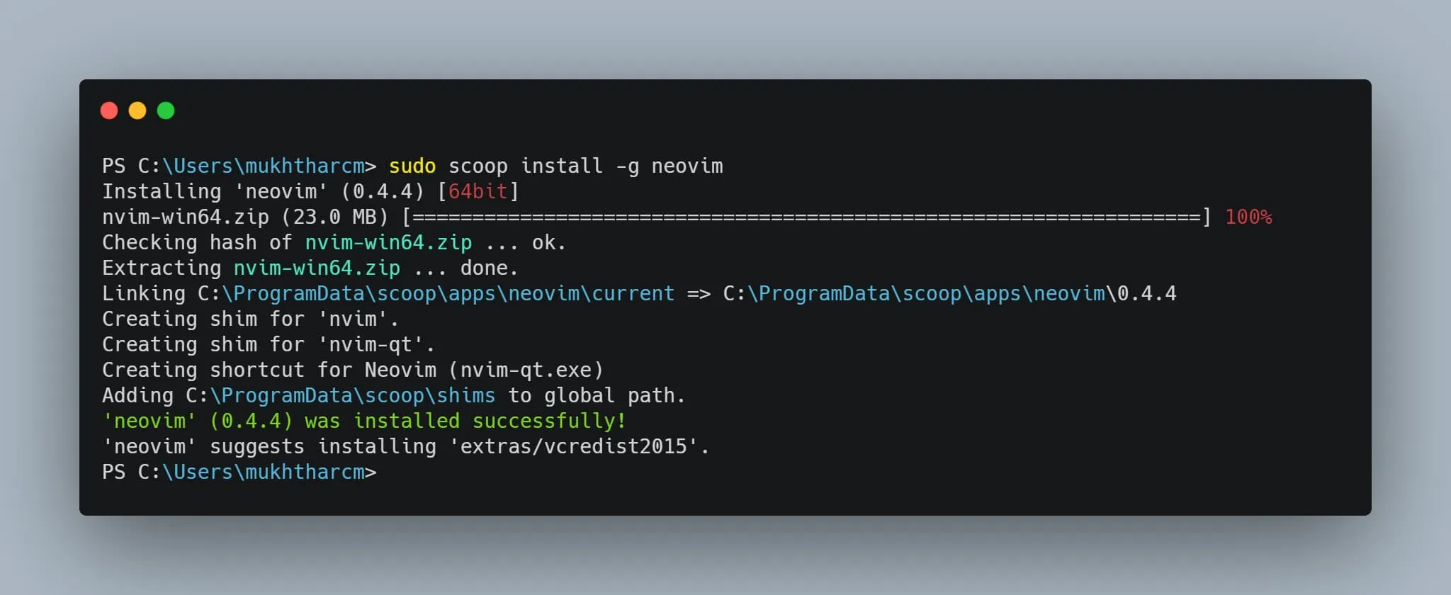 Installing Neovim Globally